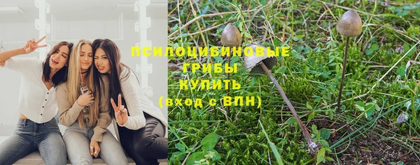 дмт Бугульма
