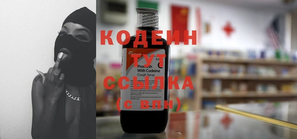 гидра Беслан
